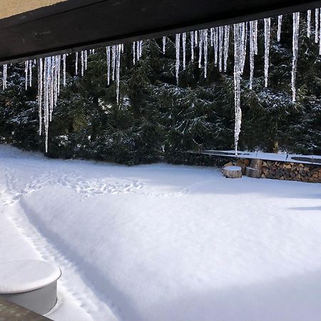 Apartman S Vyhledem Na Jezerni Stenu Zelezna Ruda Bagian luar foto