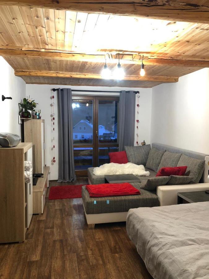 Apartman S Vyhledem Na Jezerni Stenu Zelezna Ruda Bagian luar foto