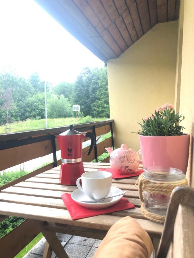 Apartman S Vyhledem Na Jezerni Stenu Zelezna Ruda Bagian luar foto